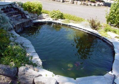 This koi pond was built with a bottom drain, skimmer, inline pump, filter, and ultraviolet sterilizer. This pond is approximately 1,600 gallons.