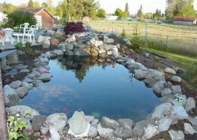 This pond was constucted adjacent to the koi pond, and was designed and built for many beautiful fancy goldfish. Now these homeowners can enjoy.