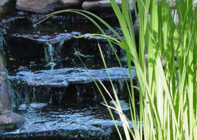 A small, but dramatic waterfall can add a babbling brook sound to any garden or landscape.