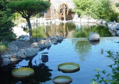 This pond has close to 11,000 gallons and is the home to several large koi ranging from 12 inches- 24 inches